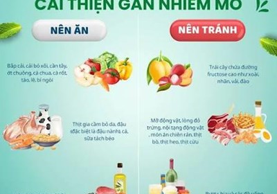 10 thực phẩm có nguồn gốc thực vật tốt cho người bị gan nhiễm mỡ