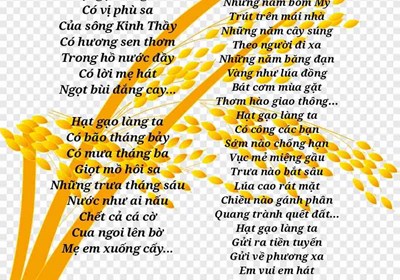 HẠT GẠO VIỆT NAM – HÀNH TRÌNH NGÀN NĂM GẮN KẾT ĐẤT, NGƯỜI VÀ VĂN HÓA VIỆT