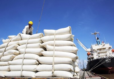 Xuất khẩu gạo nửa đầu năm 2026: Giữ nhịp tăng trưởng