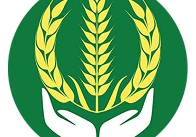  Tổng công ty Lương thực miền Bắc Triển khai Chiến lược phát triển giai đoạn 2026-2030
