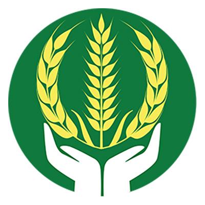  Tổng công ty Lương thực miền Bắc Triển khai Chiến lược phát triển giai đoạn 2026-2030